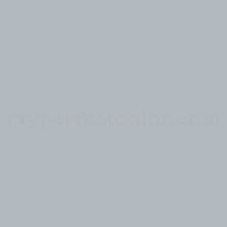 Misty Gray